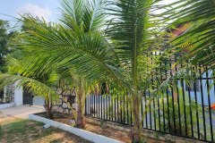 photo_2024-09-07_19-15-20