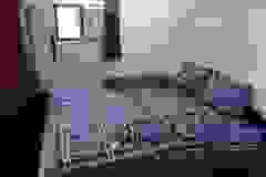 261063405_625675175112167_823044986821337603_n