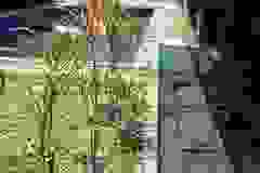 photo_2021-04-13_14-18-19