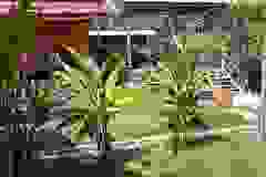 photo_2021-04-13_14-19-16