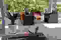 photo_2021-04-13_14-17-03