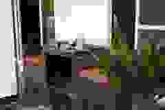 photo_2021-04-13_14-20-03